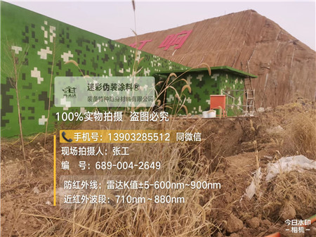 福建星空迷彩墙施工队