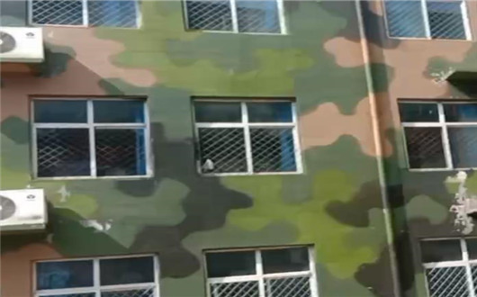 福建墙面军用迷彩施工方案